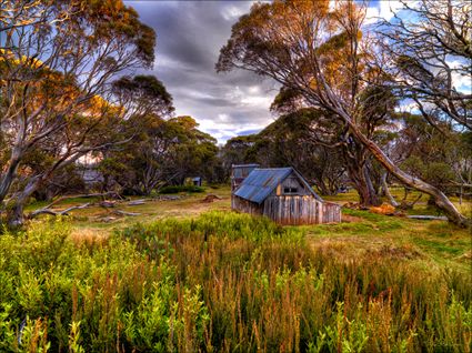 Wallace Hut - VIC SQ (PBH3 00 34366)